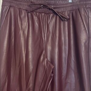 LOFT Burgundy Ankle Pants NWT